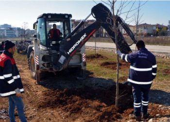 Torbalı Belediyesi yeşile doymuyor