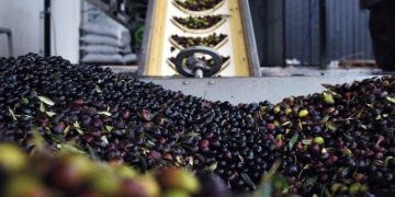 KEMALPAŞA ZEYTİNYAĞI FABRİKASI DOLU DİZGİN