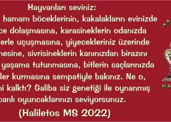 Haliletos’tan…