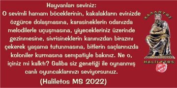 Haliletos’tan…
