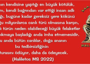 Haliletos’tan…
