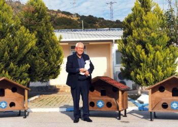 Karabağlar’ın 2023 yılı kedi evleri hazır