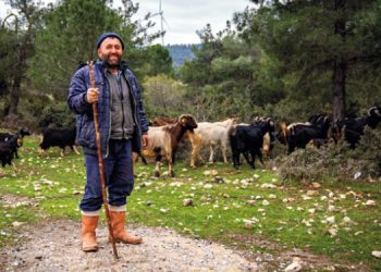 İzmir’de Çoban Start-Up dönemi başlıyor.
