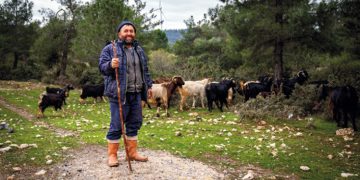 İzmir’de Çoban Start-Up dönemi başlıyor.