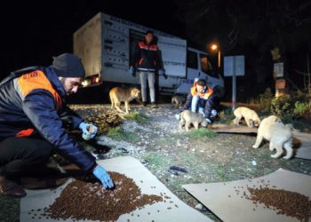 Buca’da can dostları sahipsiz değil