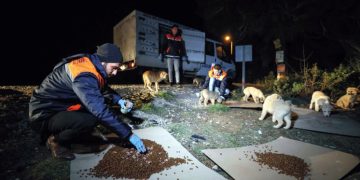 Buca’da can dostları sahipsiz değil