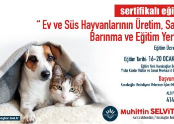 Evcil hayvan satıcılarına ücretsiz eğitim verilecek