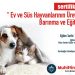 Evcil hayvan satıcılarına ücretsiz eğitim verilecek