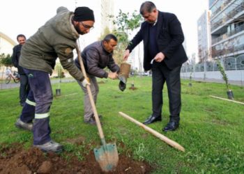 KARŞIYAKA MEYVE BAHÇELERİYLE DONATILACAK