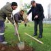 KARŞIYAKA MEYVE BAHÇELERİYLE DONATILACAK
