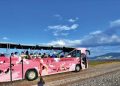 Flamingo Yolu turu 4 binin üzerinde ziyaretçi ağırladı.