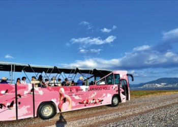 Flamingo Yolu turu 4 binin üzerinde ziyaretçi ağırladı.