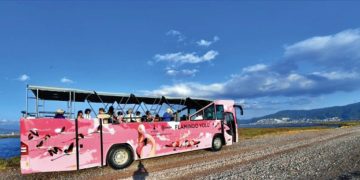 Flamingo Yolu turu 4 binin üzerinde ziyaretçi ağırladı.