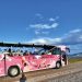 Flamingo Yolu turu 4 binin üzerinde ziyaretçi ağırladı.