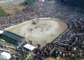 EFES SELÇUK DEVE GÜREŞLERİ FESTİVALİ COŞKUYLA GEÇTİ