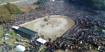 EFES SELÇUK DEVE GÜREŞLERİ FESTİVALİ COŞKUYLA GEÇTİ