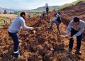 ‘HEDEF: 100 BİN AĞAÇ’