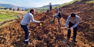 ‘HEDEF: 100 BİN AĞAÇ’