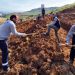 ‘HEDEF: 100 BİN AĞAÇ’