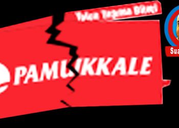 Pamukkart