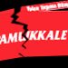 Pamukkart