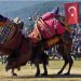 Pehlivan develer Torbalı Arenasına inecek