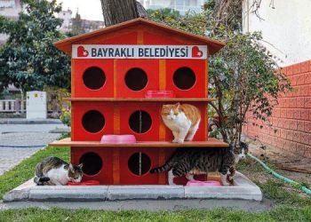Bayraklı Belediyesi can dostları unutmadı