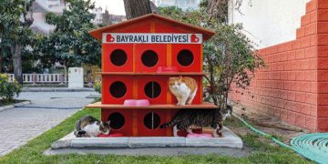Bayraklı Belediyesi can dostları unutmadı