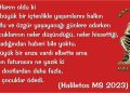 Haliletos’tan…