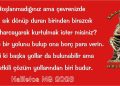 Haliletos’tan…
