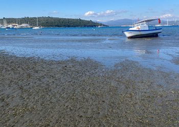 Seferihisar Belediyesi’nden Sığacık’taki deniz çekilmesi ile ilgili açıklama.