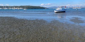 Seferihisar Belediyesi’nden Sığacık’taki deniz çekilmesi ile ilgili açıklama.
