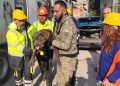 İzmir Büyükşehir Belediyesi depremden etkilenen hayvanları unutmadı.