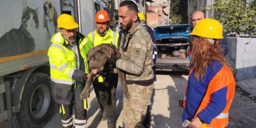 İzmir Büyükşehir Belediyesi depremden etkilenen hayvanları unutmadı.