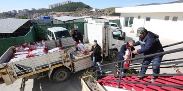 Bayraklı’dan deprem mağduru can dostlara mama desteği.