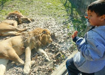 Depremzede çocukların yüzünü güldüren gezi