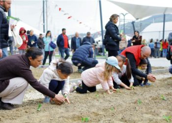 EFES TARLASI’NIN ATA TOHUMLARI DEPREM BÖLGESİNDE FİLİZLENECEK