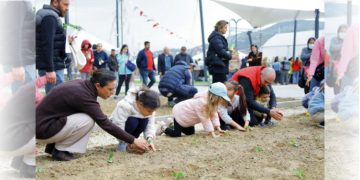 EFES TARLASI’NIN ATA TOHUMLARI DEPREM BÖLGESİNDE FİLİZLENECEK