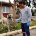 Depremzede köpek İzmir’de yaşayacak