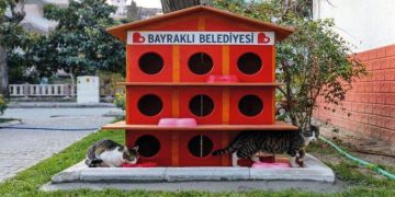 Bayraklı’da kedi evlerinin sayısı 20’ye yükseldi