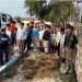 Çeşme’de okul bahçeleri meyve bahçesine dönüşüyor