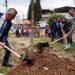 Gaziemir’de fidanlar toprakla buluştu