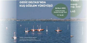 Gediz Deltası’nda kuş gözlem yürüyüşü.