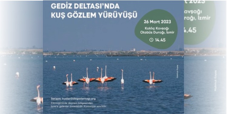 Gediz Deltası’nda kuş gözlem yürüyüşü.