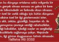 Haliletos’tan…