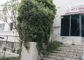 FOÇA ESKİ DEVLET HASTANESİNİN TOKİYE DEVRİNDEN VAZGEÇİLDİ