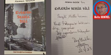 Evlerin Sessiz Dili Düşüncesi
