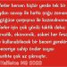 HALİLETOS’tan…