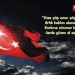 GELENEKSEL HAFTA SONU MANİLERİ