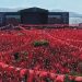 İzmir’e bahar geldi